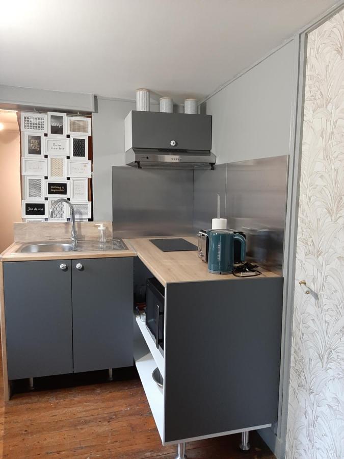 Dans Moulin Au Bord De L'Eau, Appartement Chaleureux Saint-Pryvé-Saint-Mesmin Kültér fotó